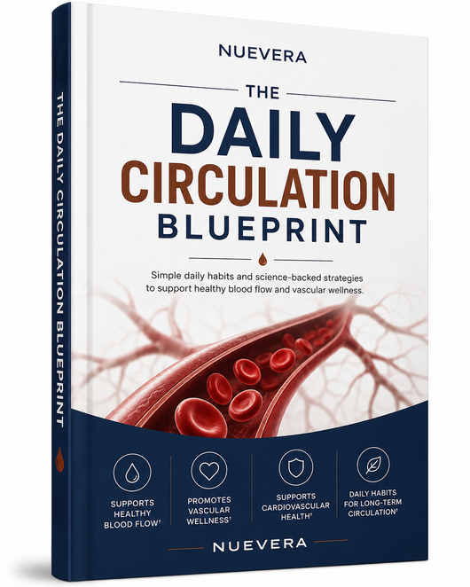 Daily Circulation Plan